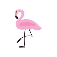 Flamingo pink. flat style illustration of pink bird with raised leg. Colored icon vector
