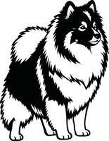 A black and white pomeranian dog on a white background vector