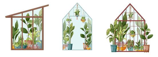 Three different types of greenhouse with plants inside vector
