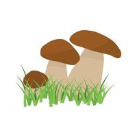 White mushroom. vegetable healthy food. mushrooms isolated on white background. vector