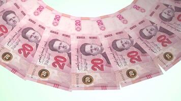 113 Nice Looping Design of 20 dinars Currency of Tunisia video