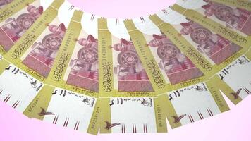 10 Truehearted Looping Design of 2 pound Currency of Sudan video