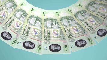 171 Mystical Looping Design of 20 pesos Currency of Uruguay video