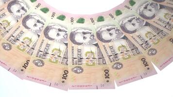173 Expressive Looping Design of 100 pesos Currency of Uruguay video
