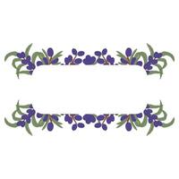 Botanical Label Frame with Olive Berries and Green Leaves in a Hand-Drawn Decorative Design vector