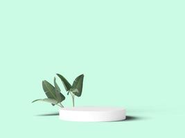Minimalist podium with leaves on mint background photo