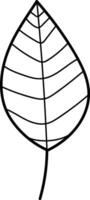 Outline of a Leaf vector
