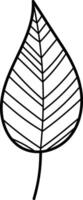 Outlined Style Leaf with Veins vector