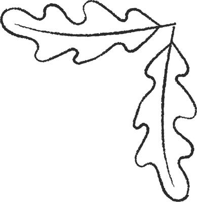 HandDrawn Oak Leaf Corner Design