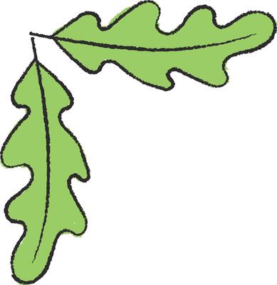 Hand-Drawn Oak Leaves Corner
