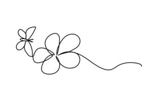 Continuous line drawing of blooming plumeria flowers in minimalist floral design vector