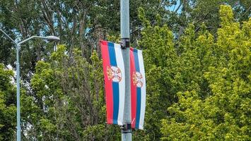 Two Serbian national flags attached to a city pole, waving in front of lush green trees. The red, blue, and white tricolor with the coat of arms symbolizes national pride and identity. photo