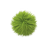 A vibrant green spherical object resembling fluffy ball of grass, isolated on transparency background, showcasing natural and fresh appearance png