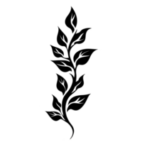 A simple black silhouette of leafy branch with multiple leaves extending from central stem, creating elegant and natural design png