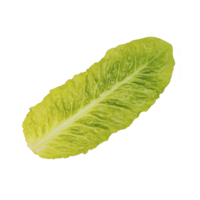 A single fresh green romaine lettuce leaf isolated on transparency background, showcasing its crisp texture and vibrant color. Perfect for salads and healthy meals png