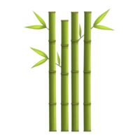 A Four green bamboo stalks with leaves are arranged vertically, showcasing their natural beauty and simplicity. image highlights smooth texture and vibrant color of bamboo, evoking sense png