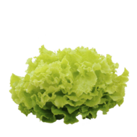 A fresh, vibrant green lettuce with curly leaves, perfect for salads and healthy meals. crisp texture and bright color make it appealing choice for nutritious dishes png