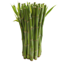 A cluster of vibrant green bamboo stalks with fresh leaves, showcasing natural beauty and growth. bamboo smooth texture and vertical alignment create serene and harmonious appearance png