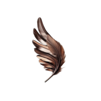 A single, elegant brown feather with glossy sheen is depicted against transparency background, showcasing intricate details and sense of lightness png