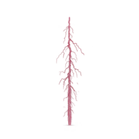A red sprite lightning phenomenon is captured against dark sky, showcasing its intricate, branching structure. This rare atmospheric event is both fascinating and visually striking png