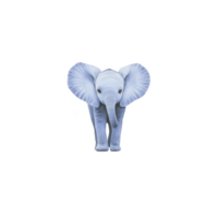 A cute, small blue elephant stands facing forward with large ears and gentle expression, set against plain background. whimsical color adds playful touch to image png