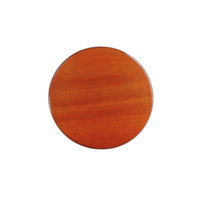 A vibrant orange circular object with textured surface, possibly coaster or decorative item, isolated on transparency background. bright color and simple design create modern aesthetic png