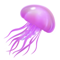 A vibrant pink jellyfish with long, flowing tentacles gracefully drifts through water, showcasing its translucent body and ethereal glow png