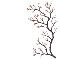 A bare tree branch with red buds against transparency background creates striking contrast, highlighting delicate beauty of nature transition. simplicity evokes sense of calm and anticipation png