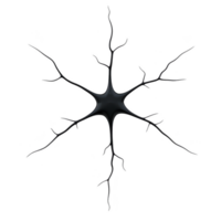 A detailed illustration of neuron with branching dendrites and central cell body, showcasing complexity of neural structures. image highlights intricate network of connections png
