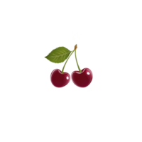 A Two glossy red cherries with green leaves are depicted transparency background, showcasing their vibrant color and fresh appearance. cherries are connected by single stem, emphasizing their png