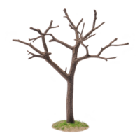 A leafless tree stands on small patch of grass, showcasing its bare branches against transparency background. simplicity and starkness evoke sense of calm and solitude png