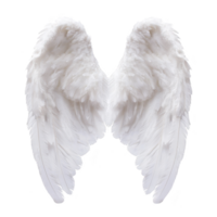 A pair of large, white angel wings with detailed feathers, symbolizing purity and grace, isolated on transparent background. wings are symmetrical and evoke sense of serenity png