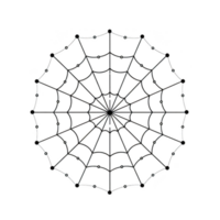 A detailed spider web with symmetrical design, showcasing intricate patterns and central focal point, symbolizing nature artistry and complexity png