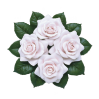 A Four delicate white roses with soft pink hues are arranged in circular pattern, surrounded by lush green leaves, creating harmonious and elegant floral display png