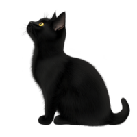 A black cat with glowing yellow eyes sits in profile, its fur sleek and ears perked, creating mysterious and elegant silhouette against plain background png