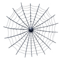 A detailed, symmetrical spider web with central point, showcasing intricate patterns and metallic sheen, set against transparent background png