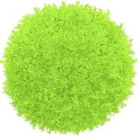 A vibrant green, round moss ball with textured surface, resembling lush, natural sphere. bright color and intricate details create lively and fresh appearance png