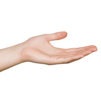 An open human hand is extended with palm facing up, suggesting gesture of offering or receiving. skin tone is light, and background is plain, emphasizing hand shape and position png