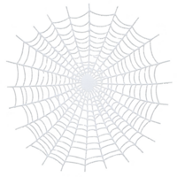 A detailed spider web with symmetrical pattern is set against transparency background, showcasing intricate design and delicate structure. web radial and spiral threads create mesmerizing geometric png