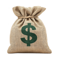burlap sack with green dollar sign symbolizes wealth and savings, often associated with financial success and prosperity. rustic texture adds vintage feel png
