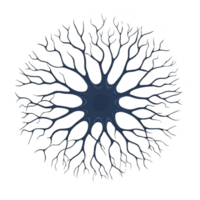 This features complex, symmetrical pattern resembling neuron or branching network, with central hub and radiating branches. design is intricate and organic, evoking sense of connectivity png