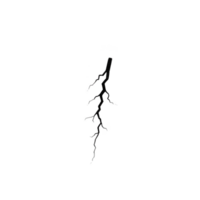 single, jagged lightning bolt strikes against transparency background, showcasing raw power and energy of nature. stark contrast highlights intricate, branching patterns of bolt png