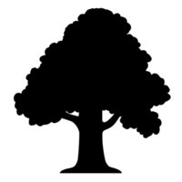 silhouette of large tree with broad canopy and sturdy trunk, evoking sense of strength and tranquility. image is simple yet impactful, highlighting tree majestic form png