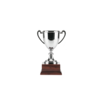 shiny silver trophy with elegant handles sits atop wooden base, symbolizing achievement and success. polished surface reflects light, highlighting its prestigious appearance png