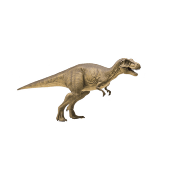 realistico raffigurazione di tirannosauro rex, in mostra suo potente costruire e acuto denti, impostato contro pianura sfondo. dinosauro strutturato pelle e dinamico posa trasmettere senso di movimento e forza png