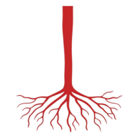 stylized red tree with long trunk and branching roots, symbolizing growth and connection. design is simple yet striking, evoking sense of nature and vitality png