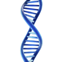 3D illustration of blue DNA double helix structure, showcasing intricate design of genetic material. image highlights twisting ladder like appearance of DNA strands png