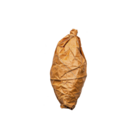 crumpled brown paper bag is tightly wrapped and isolated on transparency background, showcasing its texture and shape. bag appears to be empty and unused png