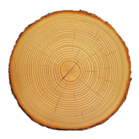 cross section of tree trunk showing detailed growth rings, indicating tree age and growth patterns. circular pattern is clear and distinct, with natural wood texture png