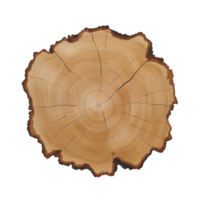 cross section of tree trunk showing growth rings and natural wood texture, highlighting passage of time and nature beauty. concentric circles reveal tree age and history png